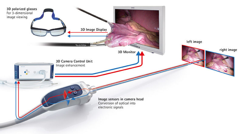 Learn more about 3D – How 3D works?