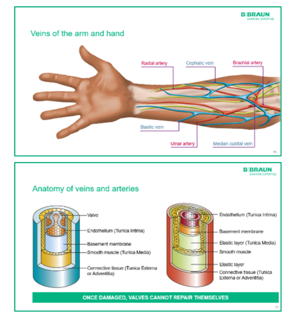 iv-theory-elearning.png